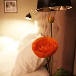 ホテル Haukeli Hotel 3*