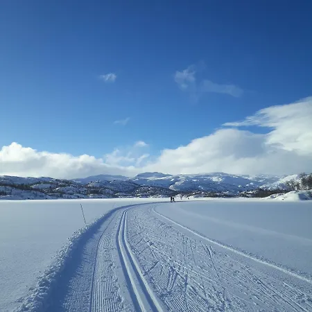 Hotel Haukeli Hotel Haukeli