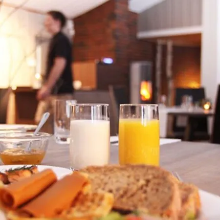 Hotel Haukeli Hotel 3*
