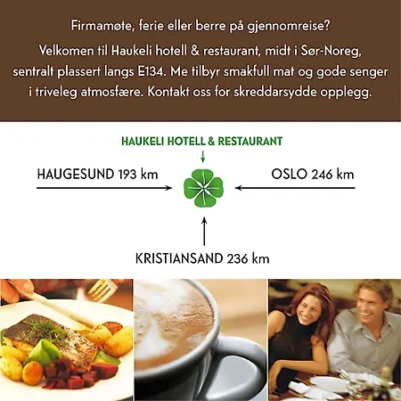 Haukeli Hotel Hotell 3*