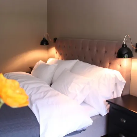 فندق Haukeli Hotel