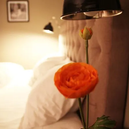 فندق Haukeli Hotel 3*
